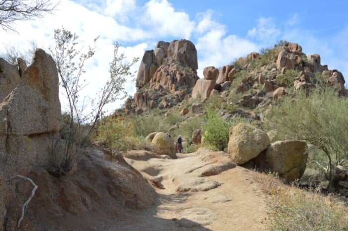 Hikers on a desert trail.