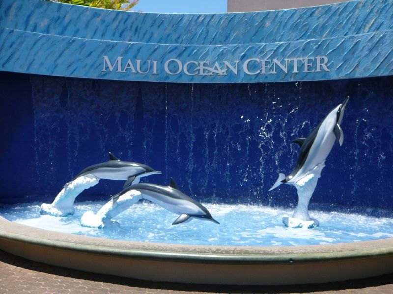 Maui Ocean Center Display