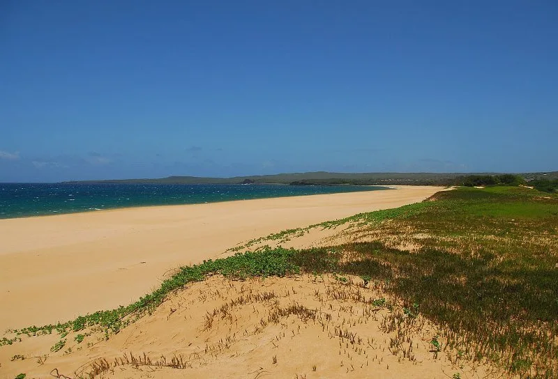 Papohaku Beach Scenery