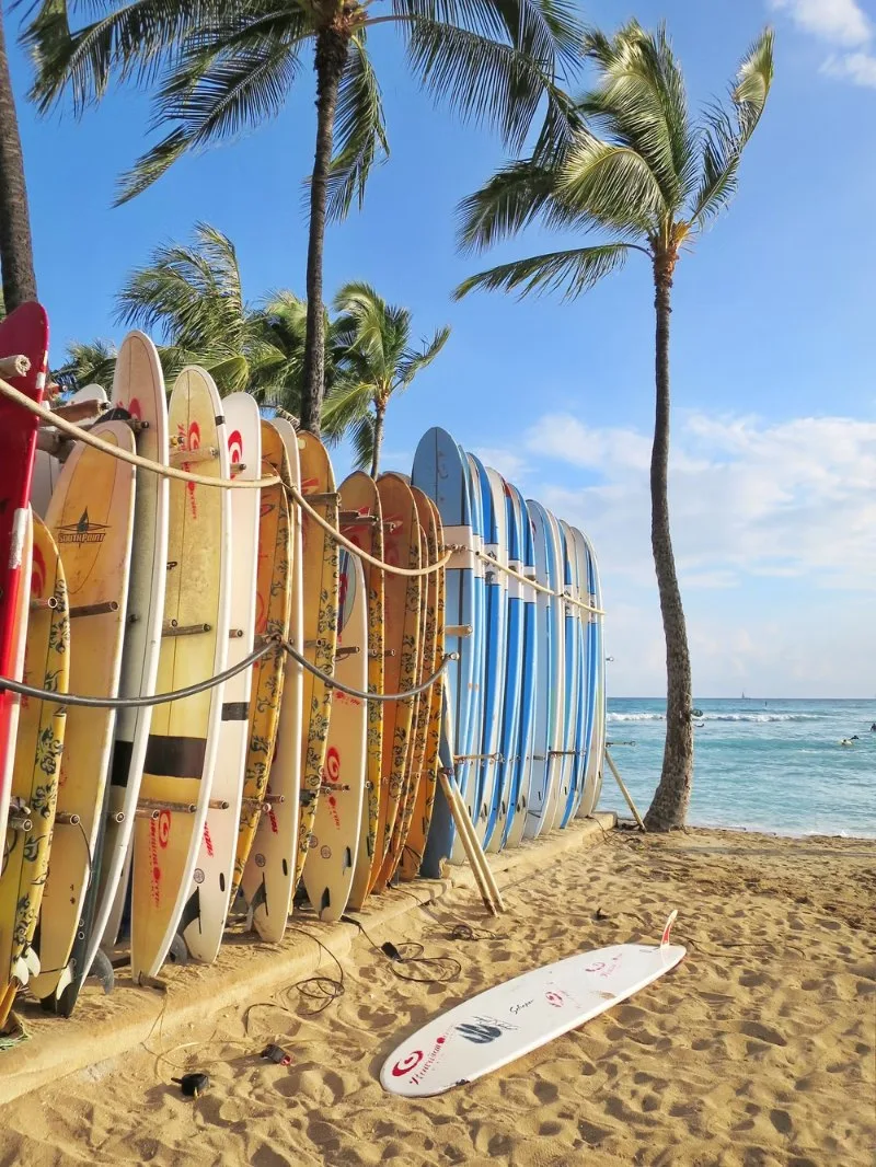 Surf Boards in Waikiki